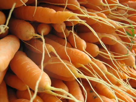 image carrots