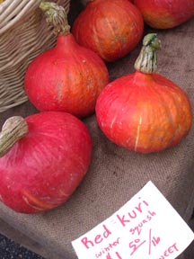 image kuri squash